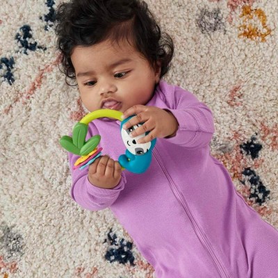 Fisher Price Eğlenceli Dostlar Çıngıraklı Dişlik - Makaralı Tembel Hayvan HJW11-HKD70-Fisher Price