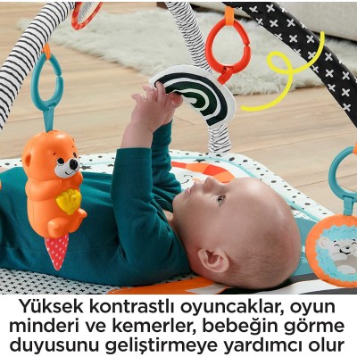 Fisher Price Neşeli Hayvanlar 3'ü 1 Arada Jimnastik Merkezi Oyun Halısı-Fisher Price Fisher Price Neşeli Hayvanlar 3'ü 1 Arada Jimnastik Merkezi Oyun Halısı-Fisher Price