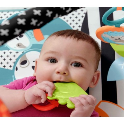 Fisher Price Neşeli Hayvanlar 3'ü 1 Arada Jimnastik Merkezi Oyun Halısı-Fisher Price Fisher Price Neşeli Hayvanlar 3'ü 1 Arada Jimnastik Merkezi Oyun Halısı-Fisher Price