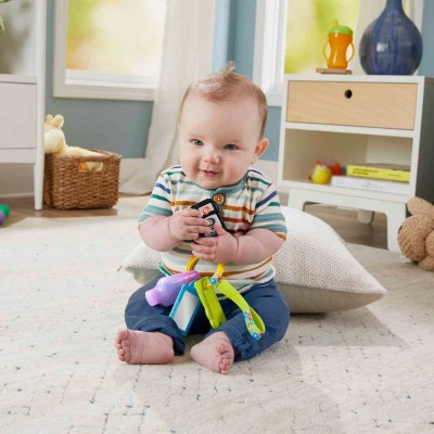 Fisher Price Sesli Eğlen ve Öğren Eğlenceli Aktivite Anahtarı HWY40-Fisher Price